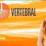 Vertebral en Ahora Noticias | Razones para optar por una carrera técnica