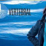 Vertebral expone su visión sobre proyecto de Financiamiento Solidario ante Comisión de Educación del Senado