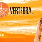Carta al director del Vicepresidente de Vertebral, Jorge Menéndez: “Encuesta Casen y Educación Técnica”