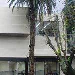 Nuevo sistema debe reconocer las diferencias entre educación técnica y universitaria