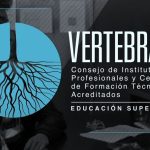 Carta de Mesa Directiva del Consejo de Rectores Vertebral: “La educación en la Convención”